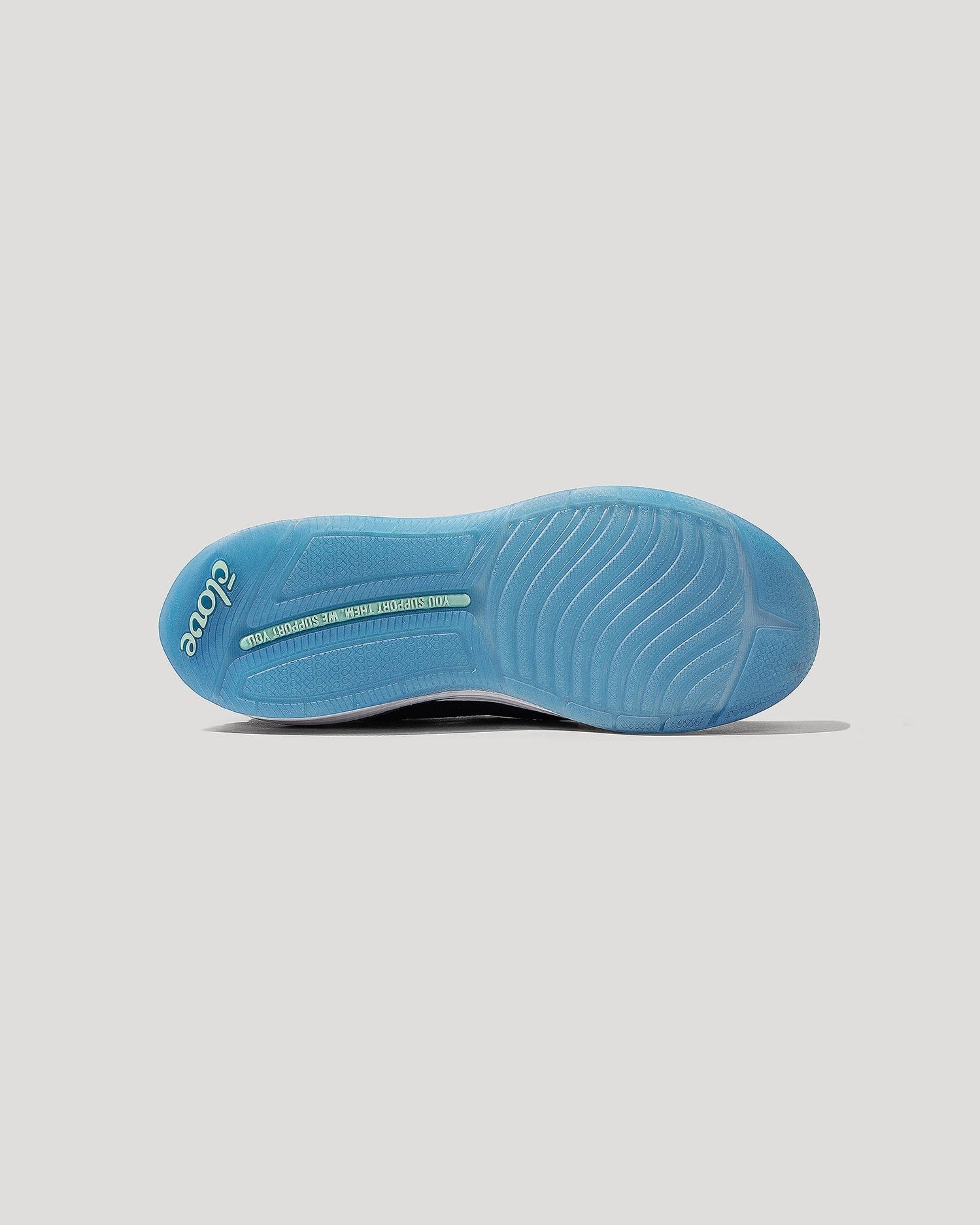 CLOVECORE4973-2