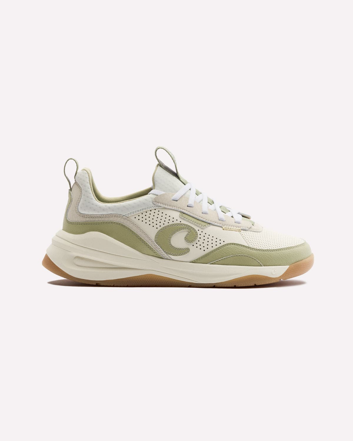 Clove-Strada_Sage_Gum01
