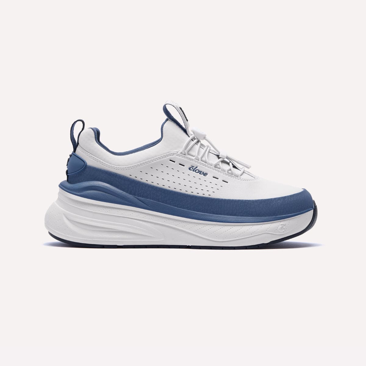 White / Navy