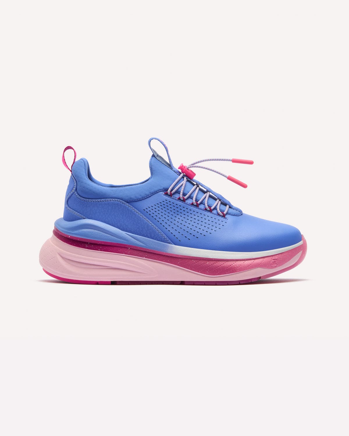Vivid Blue / Pink