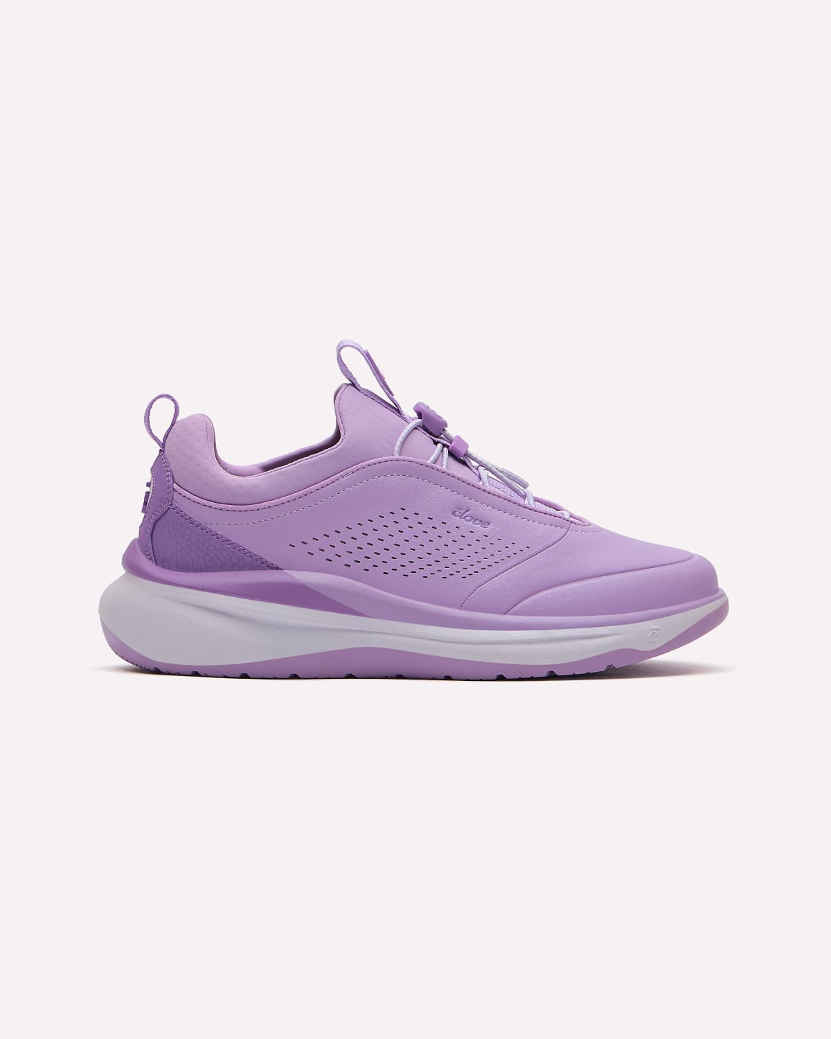 prima-bright-lavender-1-desktop