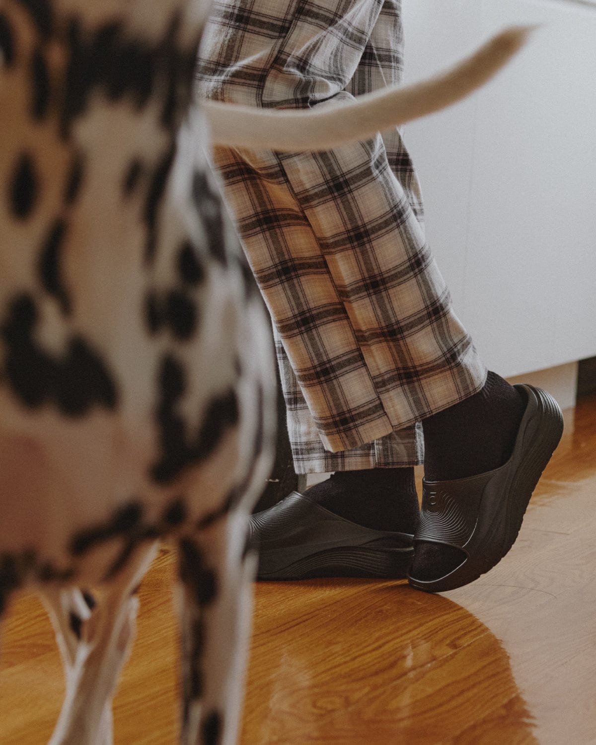 quarter-sock-black-2